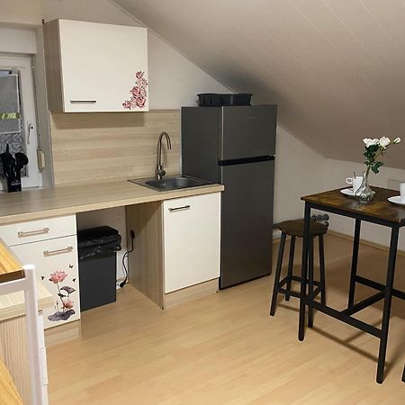 באד פרידריכסהל Deluxe Business Suite Mit Netflix Premium & Parkplatz, Zentral Zu Audi & Schwarz Gruppe With 2 Bedrooms מראה חיצוני תמונה
