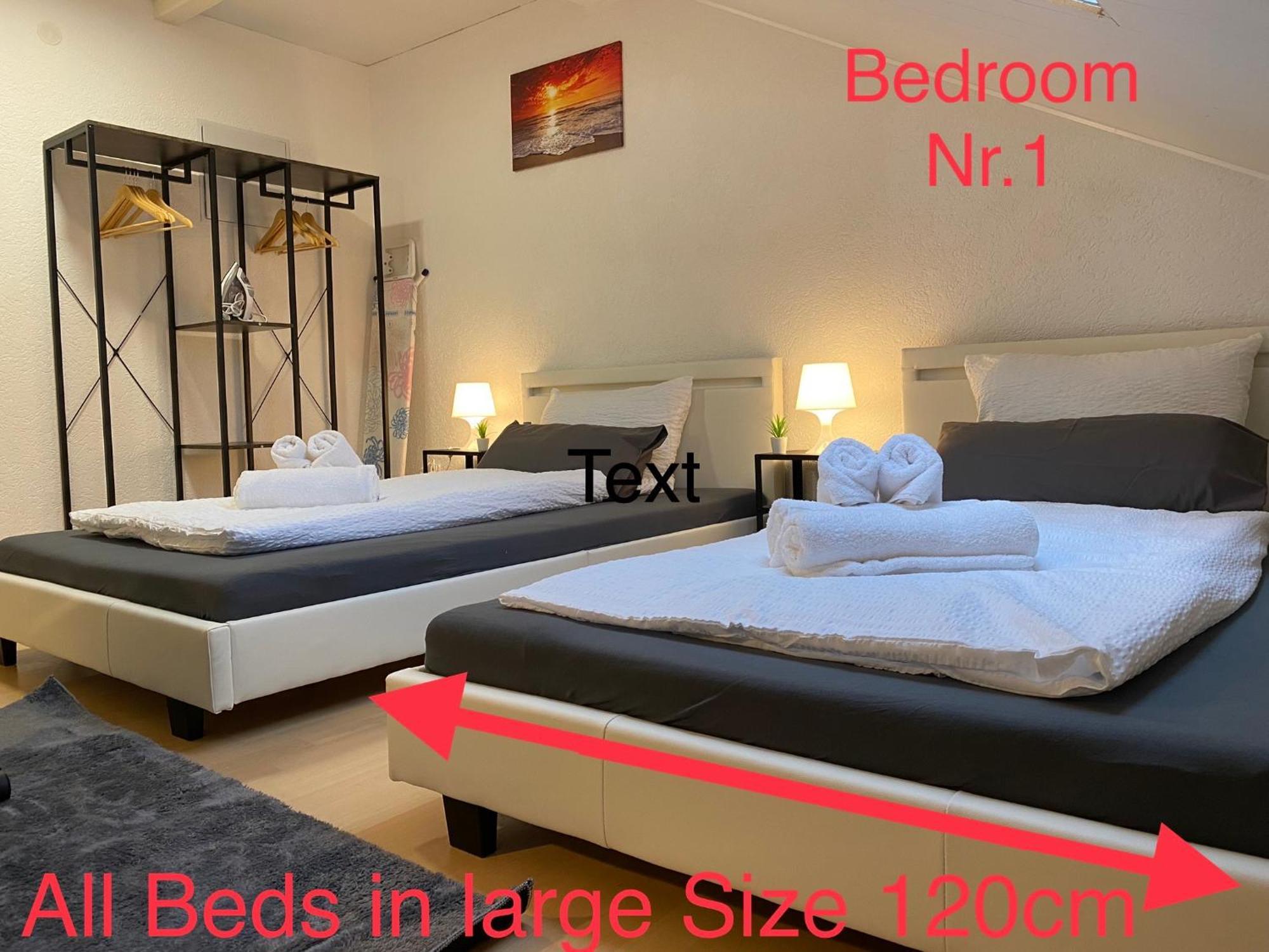 באד פרידריכסהל Deluxe Business Suite Mit Netflix Premium & Parkplatz, Zentral Zu Audi & Schwarz Gruppe With 2 Bedrooms מראה חיצוני תמונה